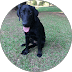 Sam Roring, Patient Testimonials